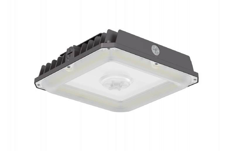 LED Canopy Light